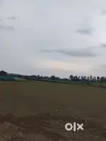 Agricuture land sale in somalpur near strr road