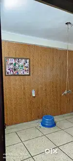 1 room attached bathroom, toilet