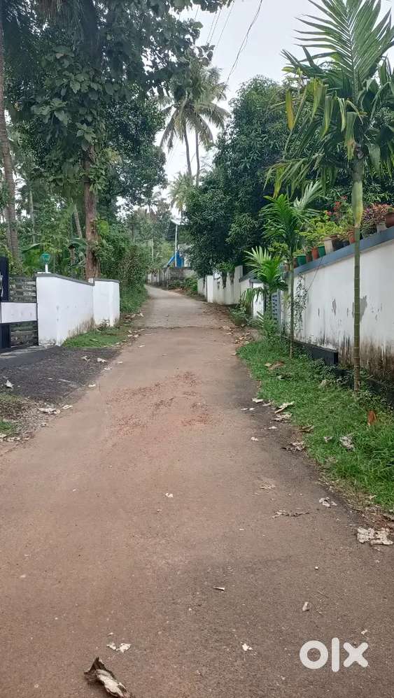 നാവായിക്കുളം പലവക്കോട് 12 സെൻറ് വസ്തു വിൽപ്പനയ്ക്ക്.(ലോറി സൈറ്റ്)