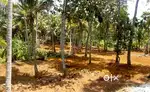 65 CENTS IN TRIVANDRUM