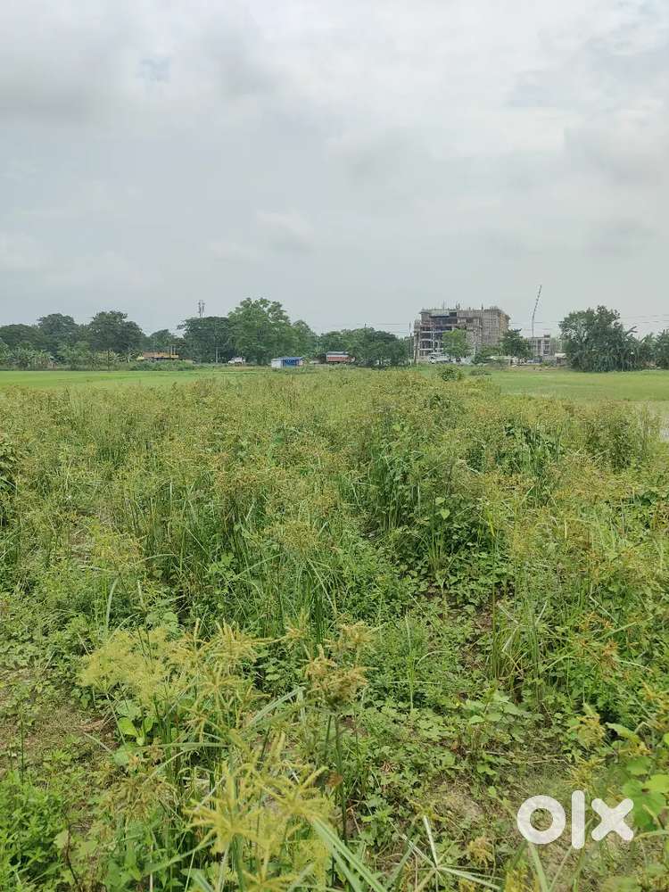 Baghra chariali Main road chariali