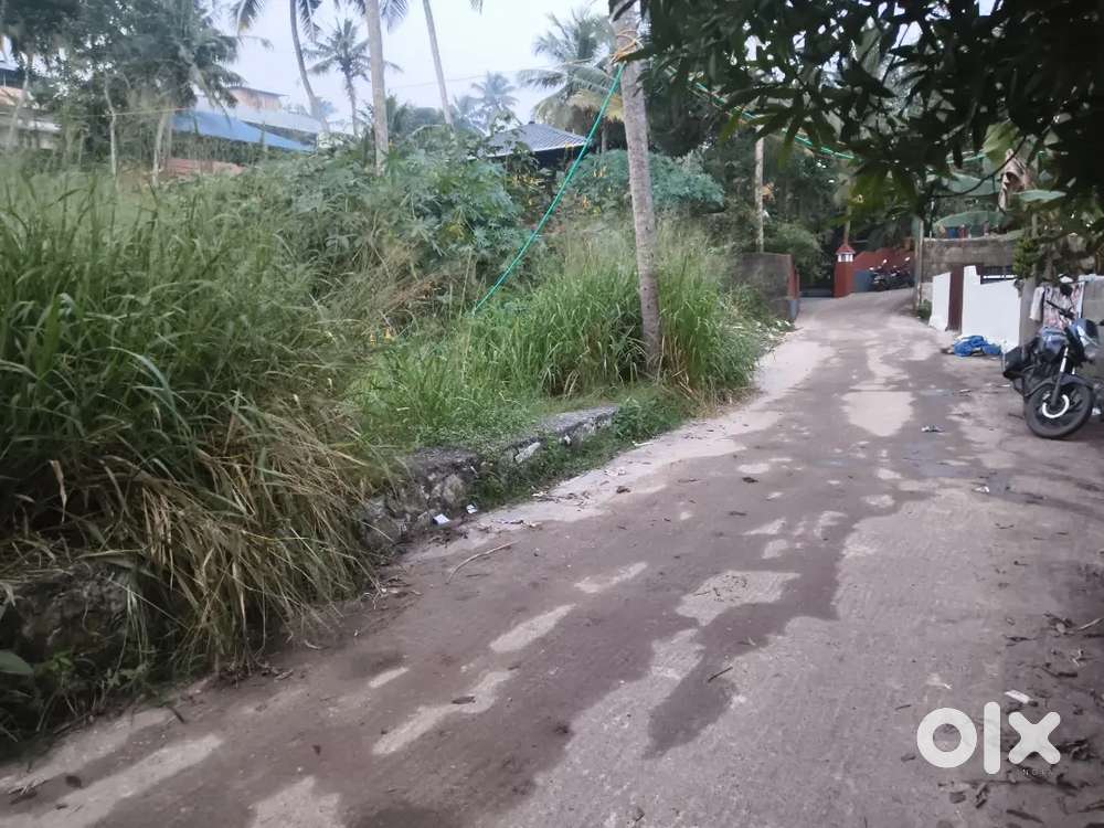 Plot For Sale Karyavattom Pangappara