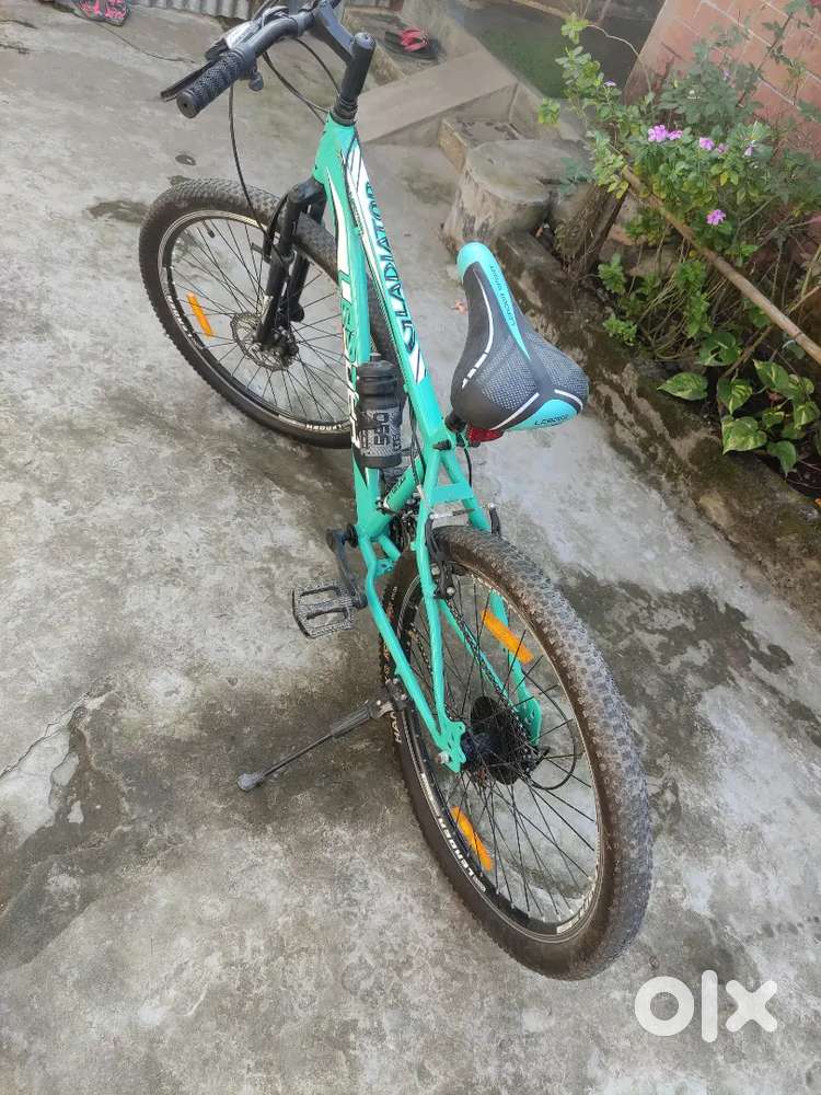 Good condition 25 day old