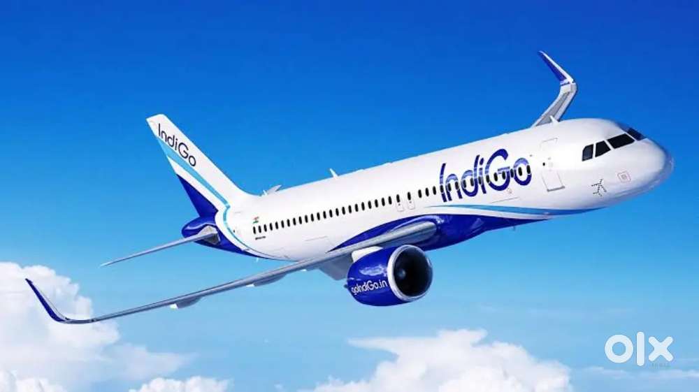 AIRPORT URGENT JOBS INDIGO AIRLINES ALL OVER INDIA