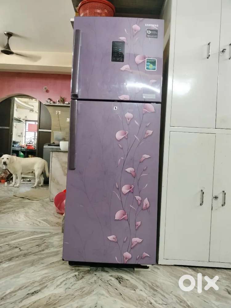 Samsung Double door Fridge