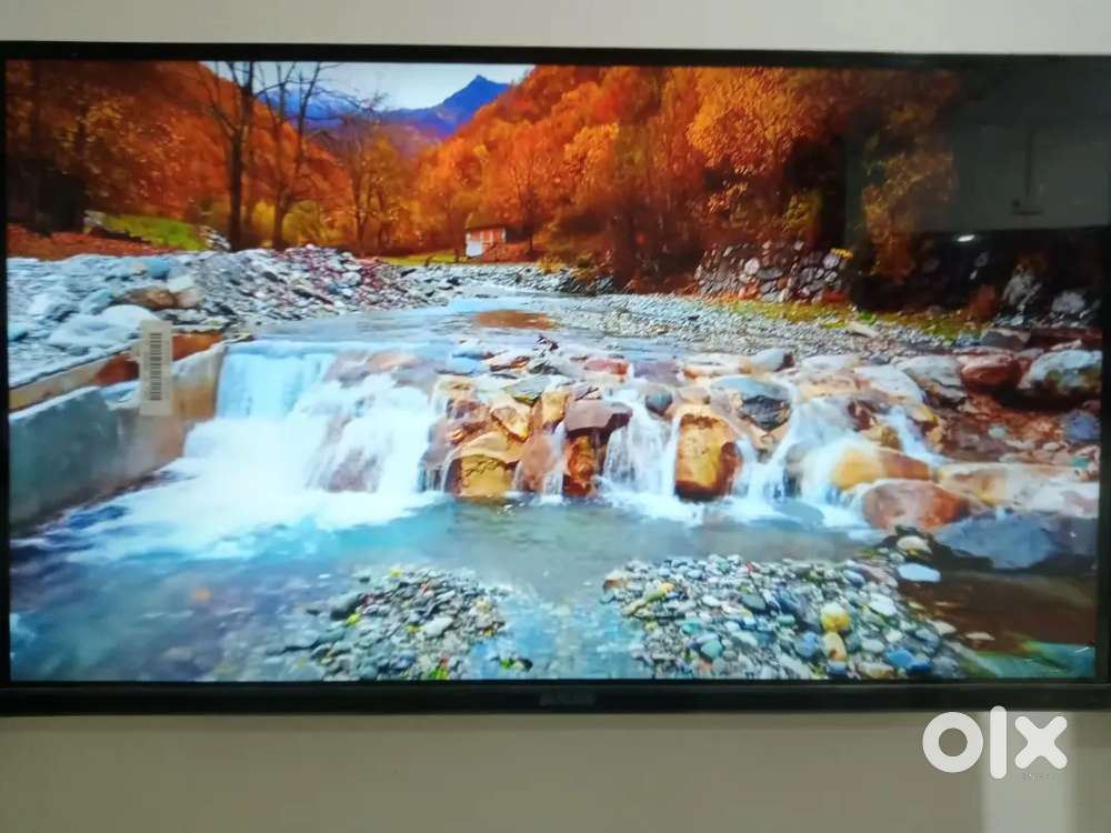 Bush smart google tv with 4K Ultra HD and voice search on Bajaj