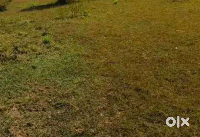 Two adjacent plot at katariya layout