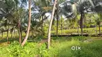 Land for sale 21 cent