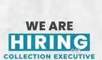 Collection Executive