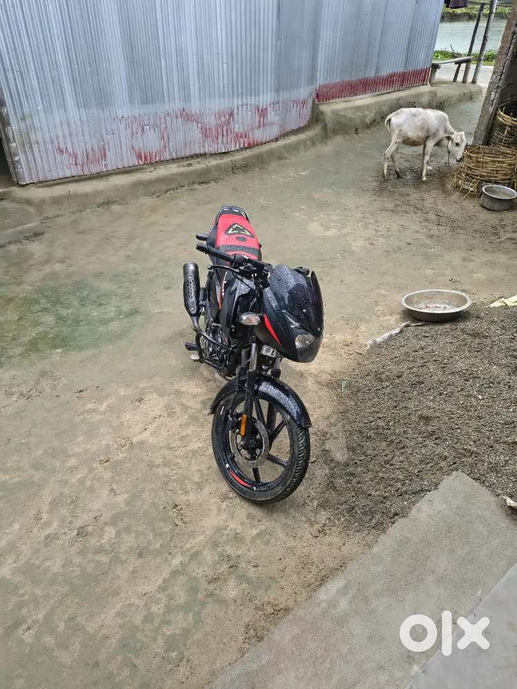 Bajaj pulser 125 tip top condition vachile