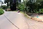 Land 8.5 cent main road side Kottayam-Athirampuzha road 4.5 lakh/cent
