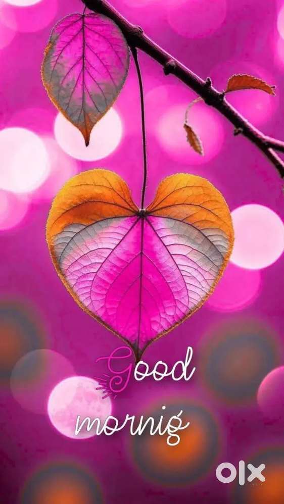 Office premises on rent at patto panaji.Area 410 sq feet.