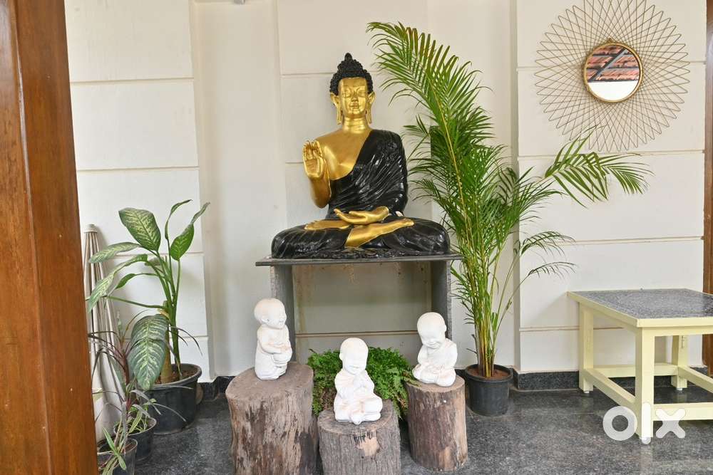 Digital marketing page management