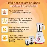 KENT Gold Mixer Grinder (with warrent)y