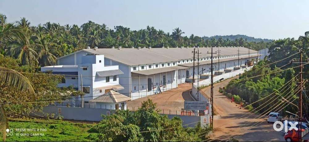 LOOKING FOR FRESH MALE CANDIDATE -CALICUT