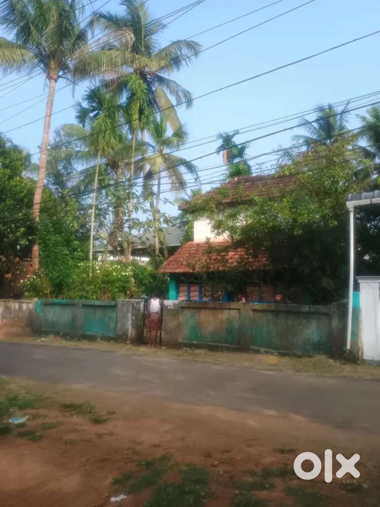 8 Cent Residential plot for sale at Ollukkara