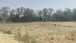 Kisan se bigha me  jameen kam rate me paye Deva road
