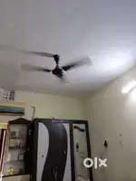 Looking for a girl/women for 2BHK flat near Krishna apartment