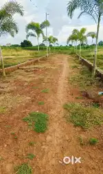 Trisulia already completed all facilities