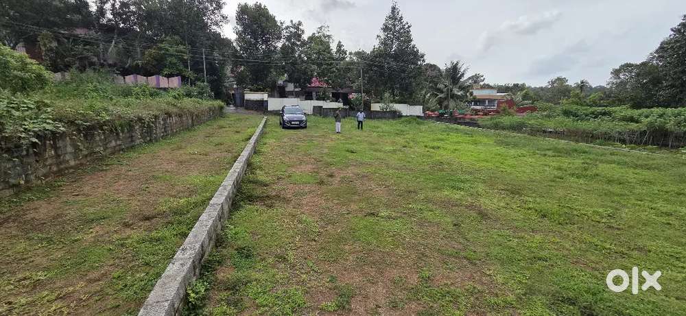 Kumbanad Othara  Tar road 100 mtr distance 12 cent house plot for sale