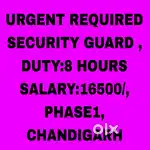 Security gaurd 8 hours Job