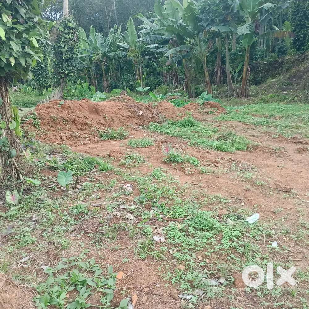 Plot for sale