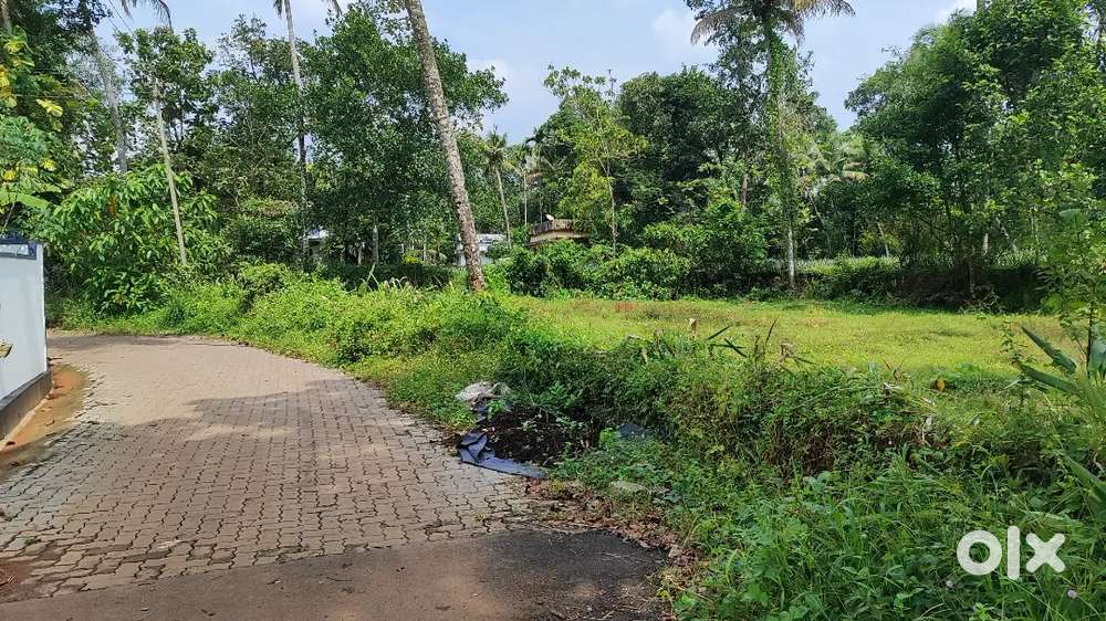 35 cent property in mulanthuruthy suitable for all type of use .