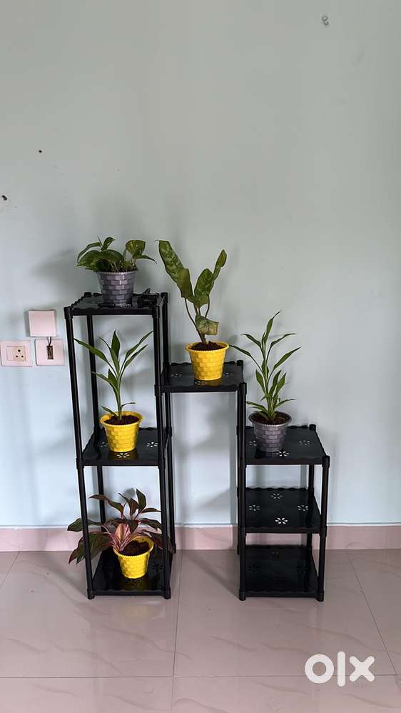 Female room mate wanted- walkable distance to techno park back gate