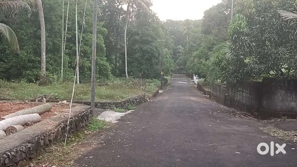Angamaly vattapparbu 4,5,6,8, 10 CENT PLOTS AVAILABLE