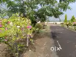 All facility with ,security cctv camera,swing and pool,Dj party night