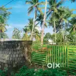 5-24 Cents Vellayani Kurumi Road 50 Meters
