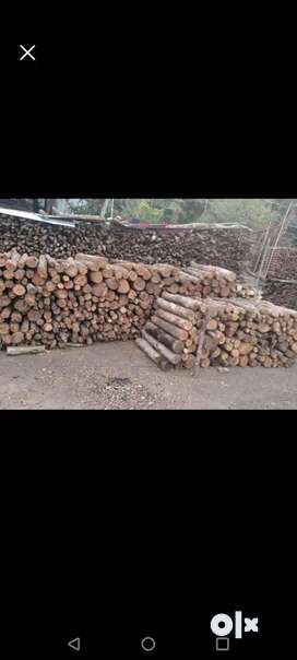 Naga cut Firewood