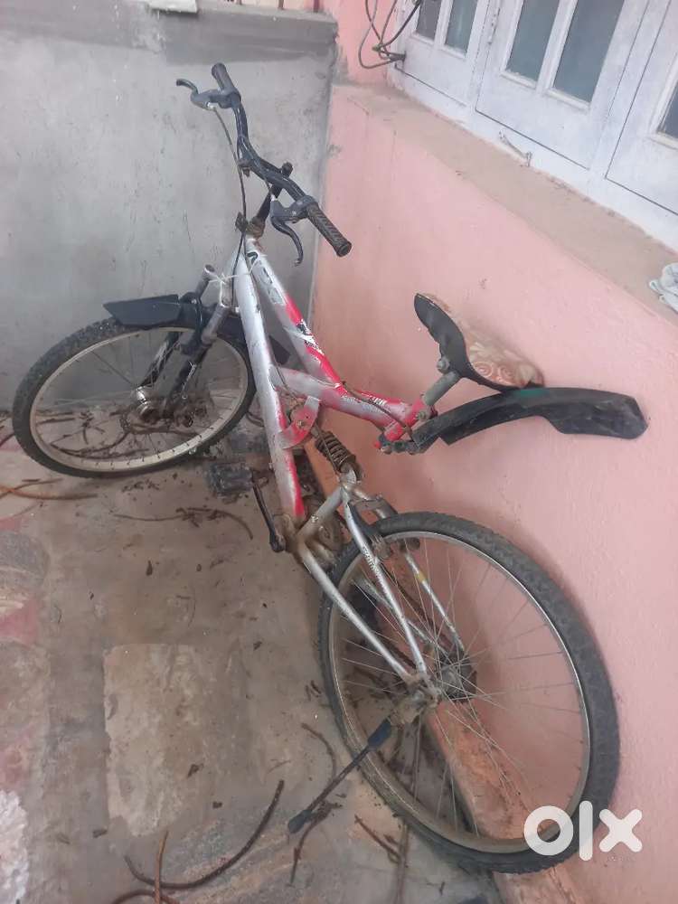 Cycle with shock absorber