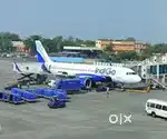 Required for Male and female candidates for indigo Airlines jobs
