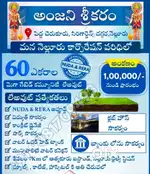 Nuda aproved layout