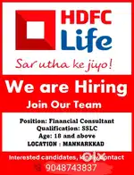 Financial consultant
