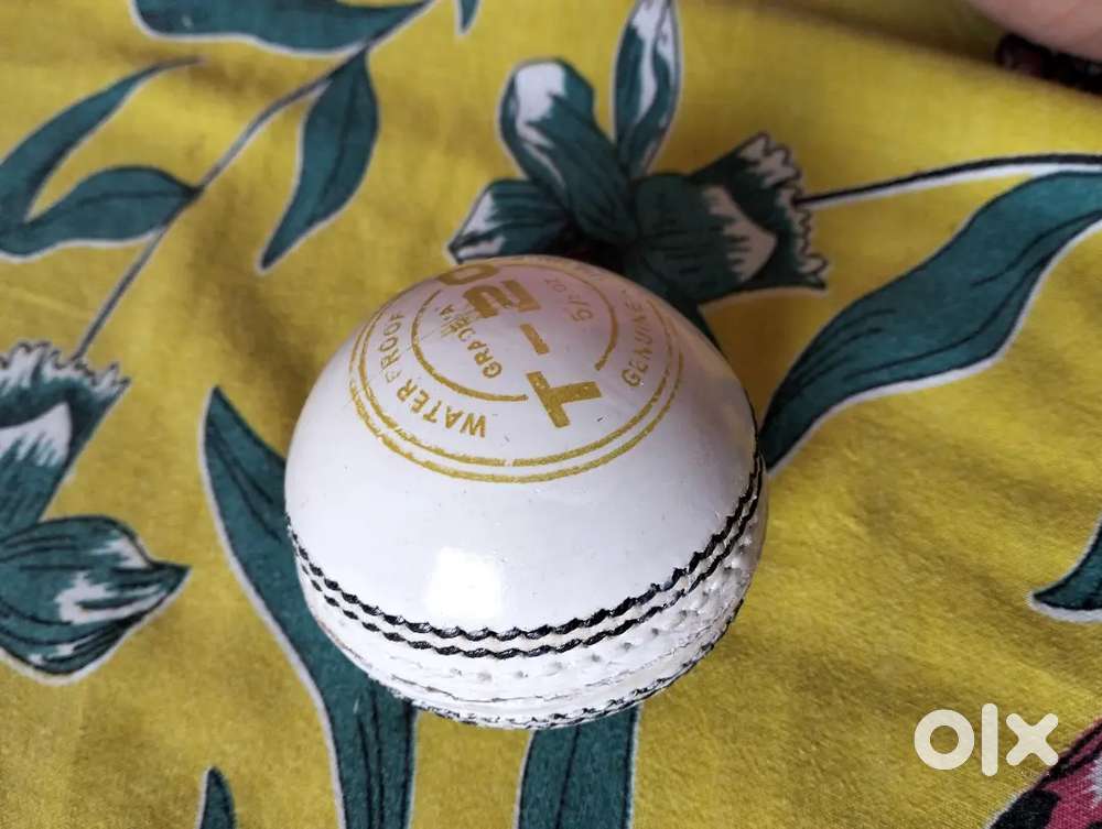 Brand New T-20 leather ball