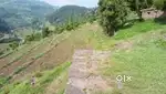 Urgent sell my property 25 kanal