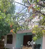 Palluruthy. 4cent. 700SF.House. Car Entry