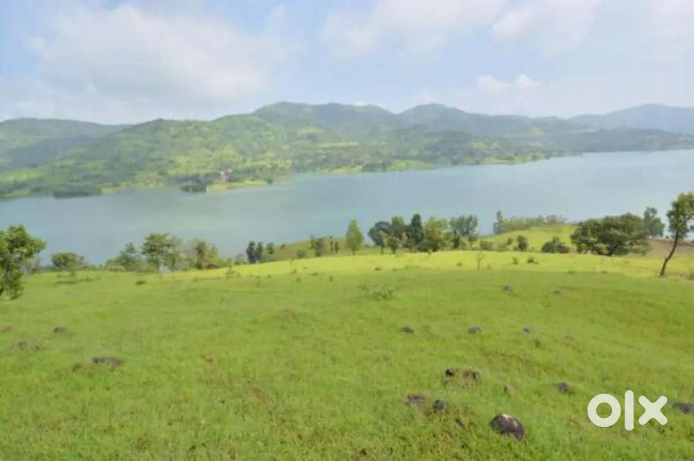 Gangapur Dam touch 3 acre