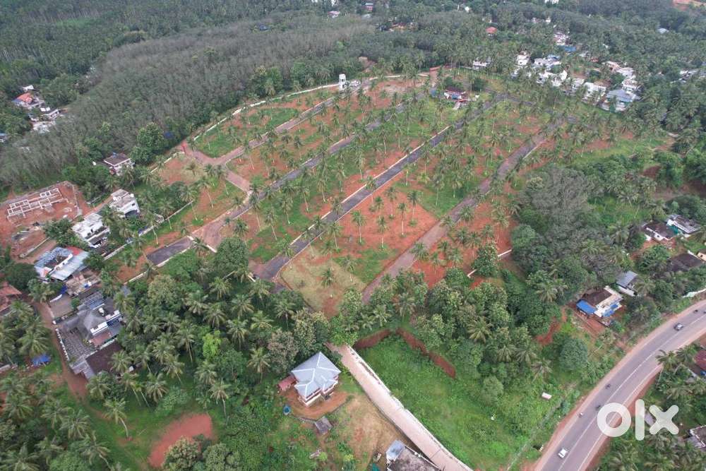 9 Cent House plot for sale in Viyyakurissi,Palakkad
