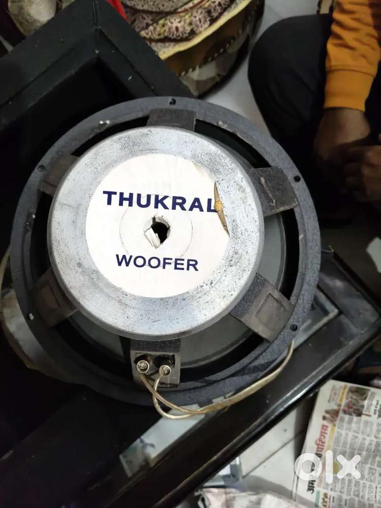 12 Inch woofer