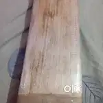 SG gold player edition English Willow bat
