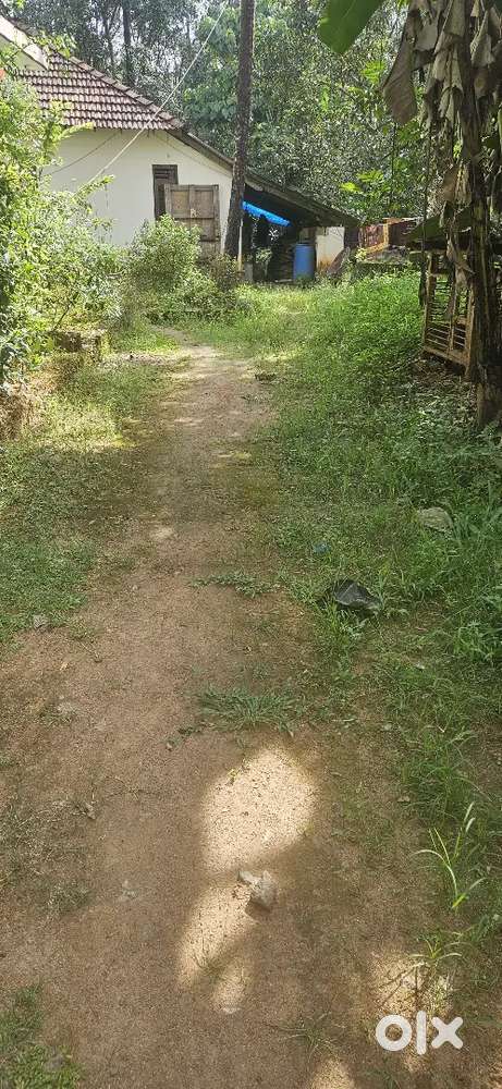 14 cent plot , per cent 4 L