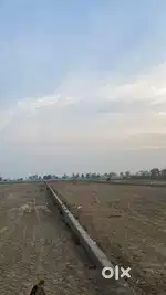 PLOT 10 MARLA  MAP PASSED SECTOR- 111 TDI CITY MOHALI