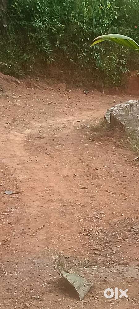 9 സെന്റ് സ്ഥലം, കിണർ ( vattathath),  വഴി ഉണ്ട് 22 ലക്ഷം