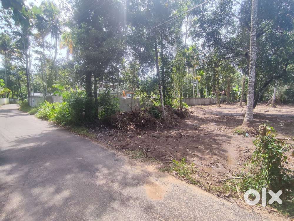Prime 25 Cent Plot on Edavilangu Panchayat Road - Clear Title