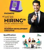 TERRITORY SALES EXECUTIVE
