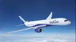 INDIGO AIRLINES JOBS