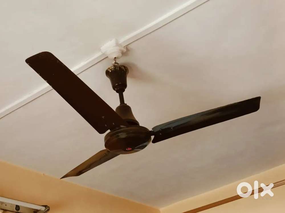 celing fan ,gizar, water Tank ,handa kalsi superb condition